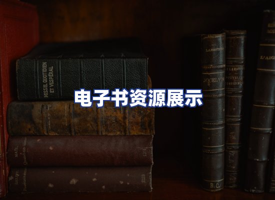 电子书资源展示
